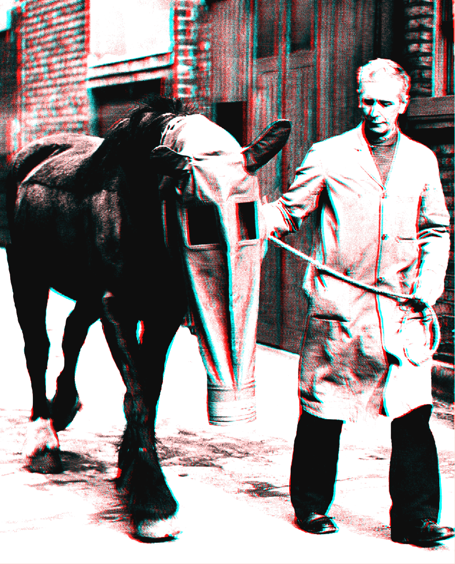 cheval_world_war_I