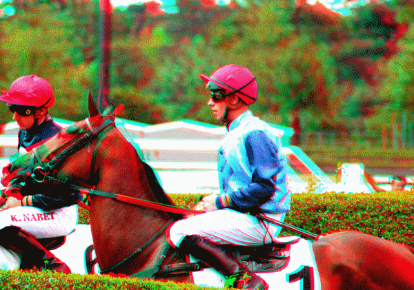 equus