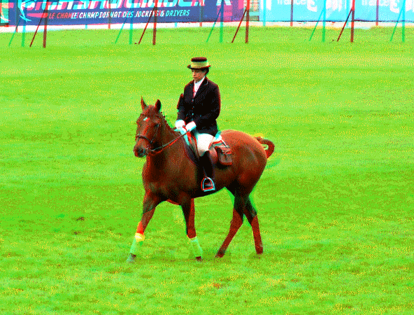 equus