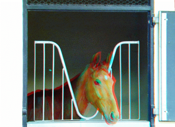 equus