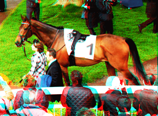 equus