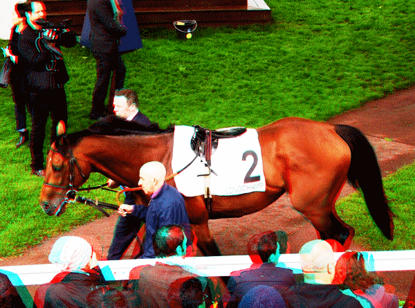 equus
