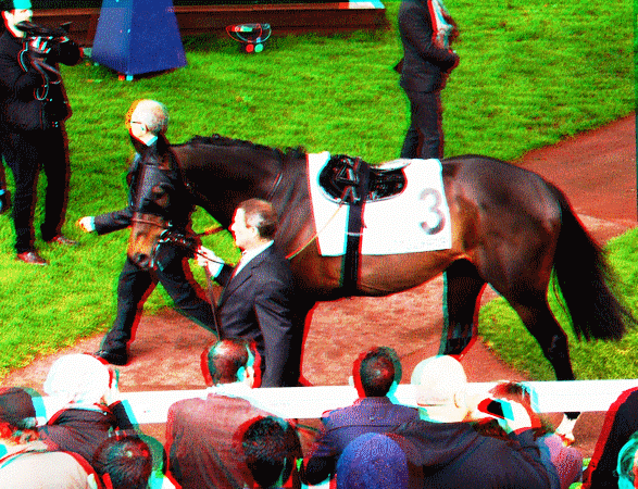 equus