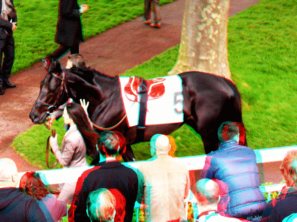 equus