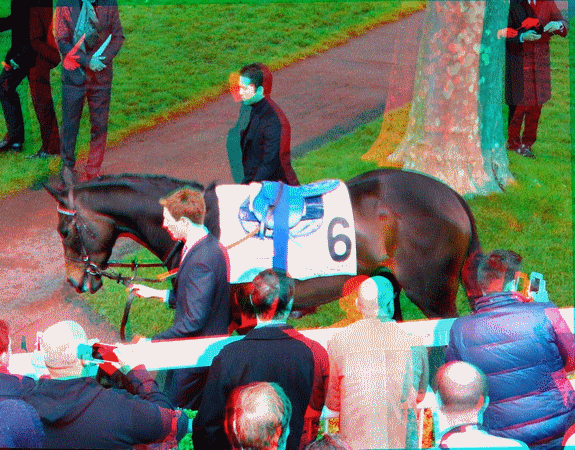 equus