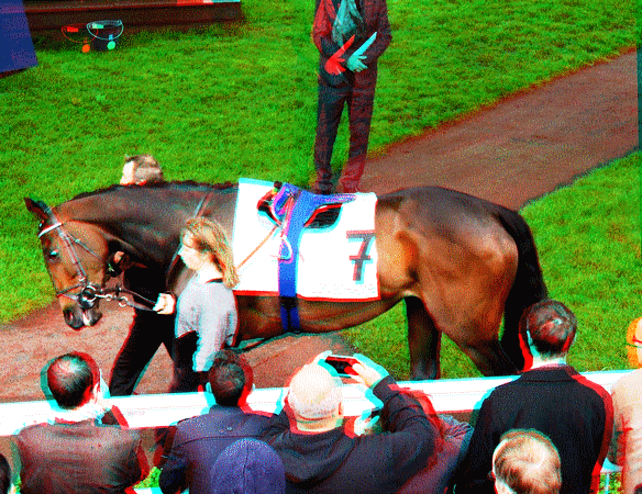 equus