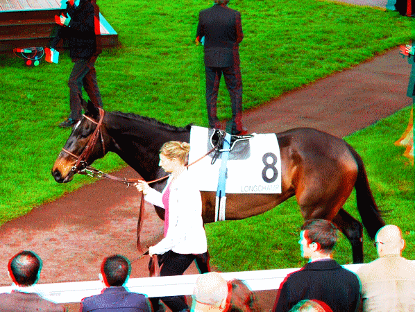 equus