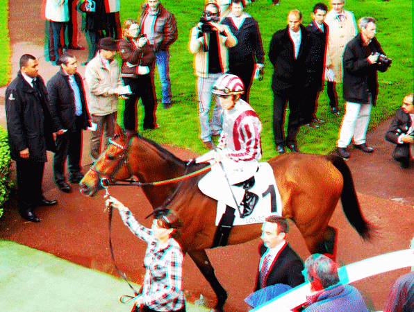 equus