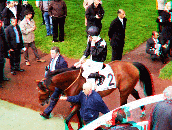 equus