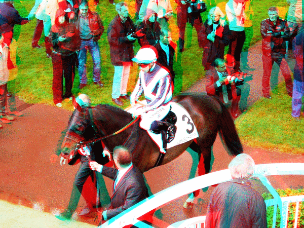 equus