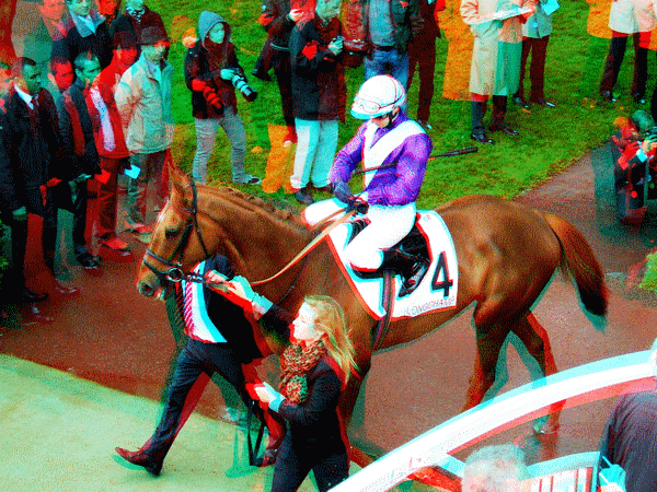 equus