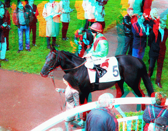 equus