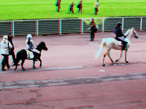 equus