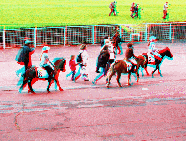 equus