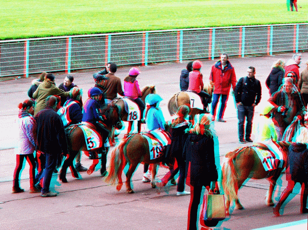 equus