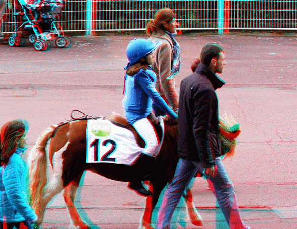 equus