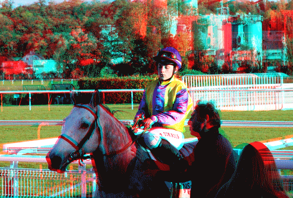 equus