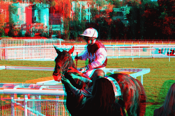equus