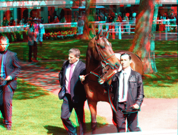 equus
