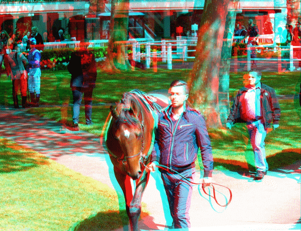 equus