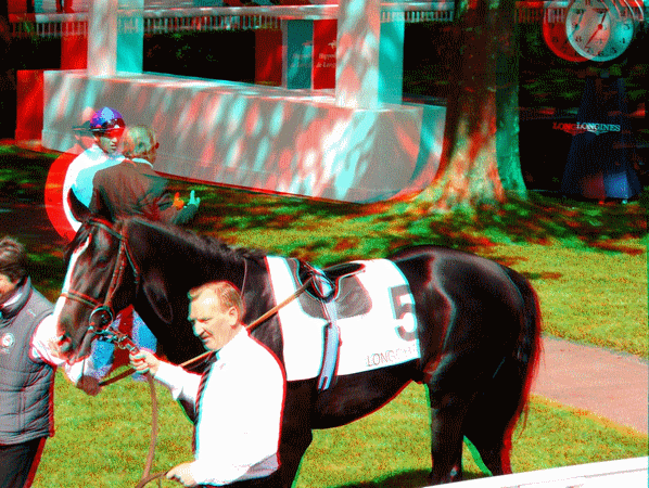 equus