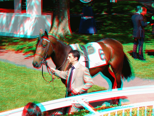 equus