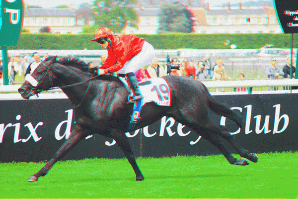 equus