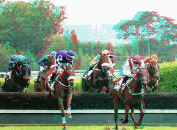 equus