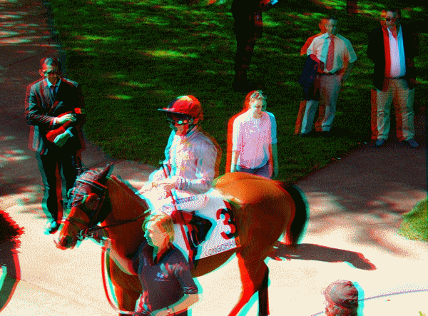 equus