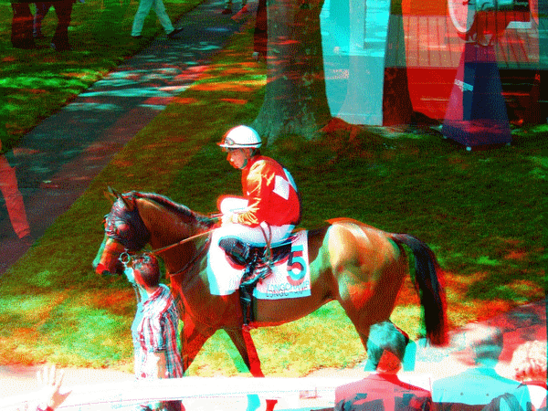 equus