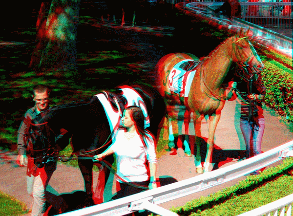 equus