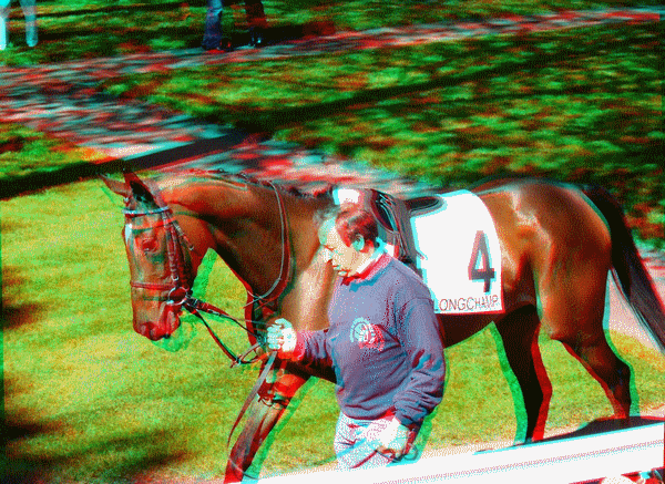 equus