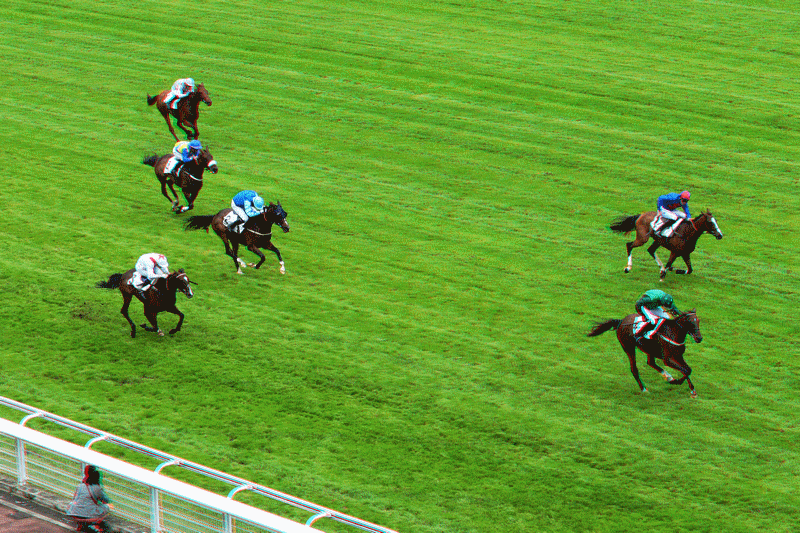 equus