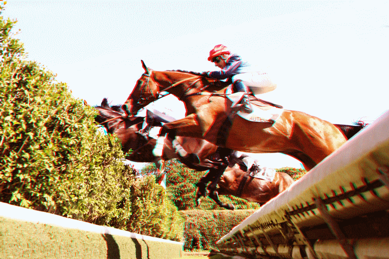 equus