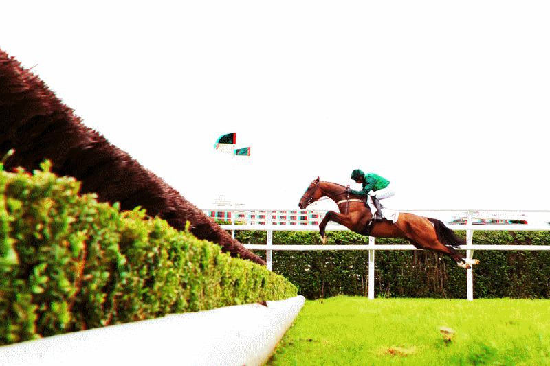 equus