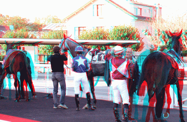 equus