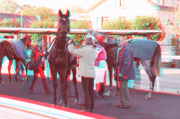 equus