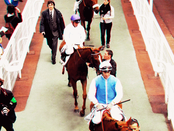 equus
