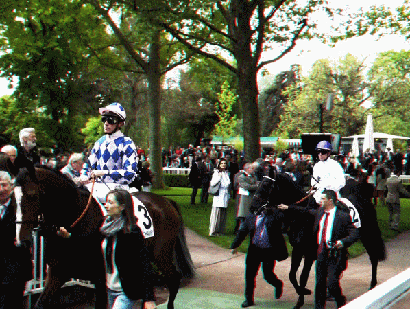 equus