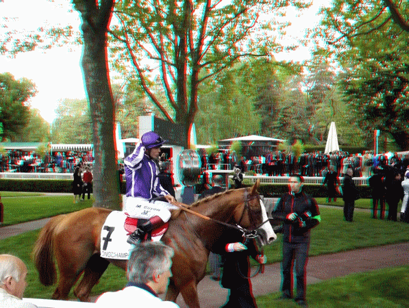 equus