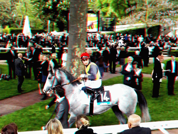 equus