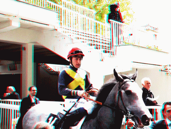equus