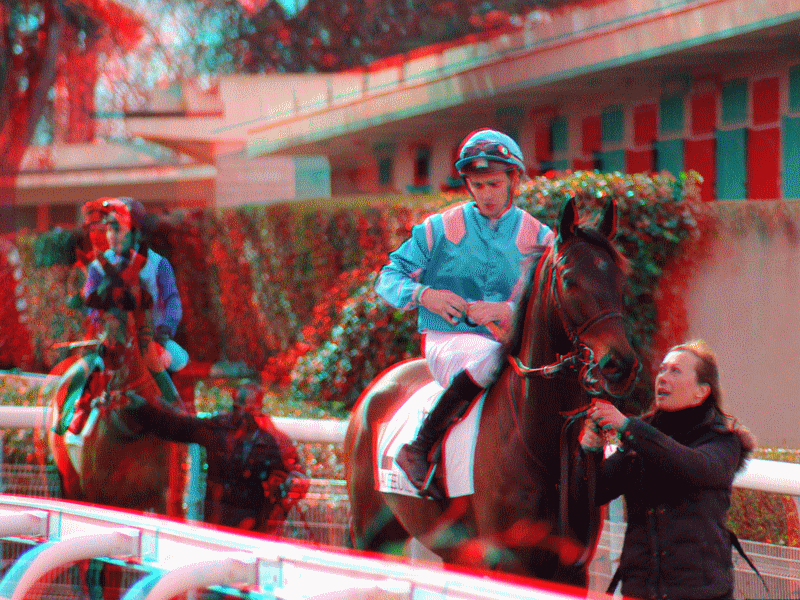 equus