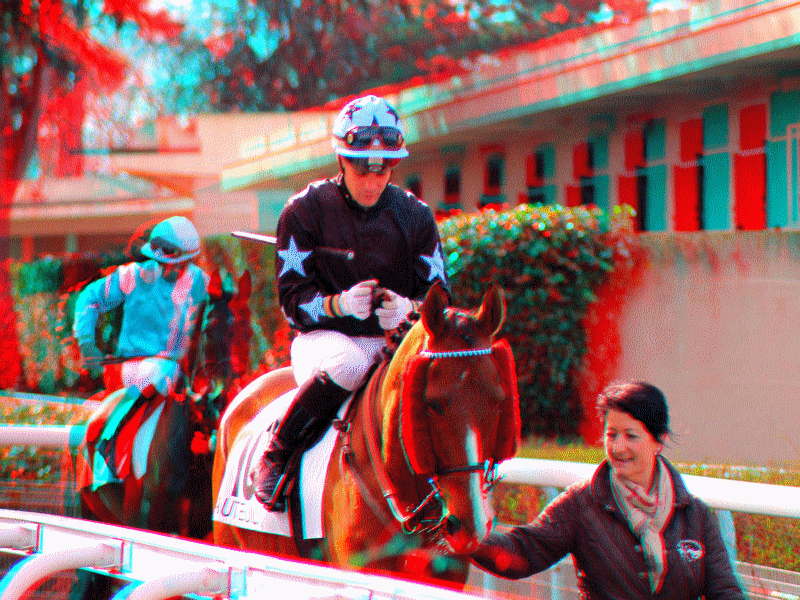equus