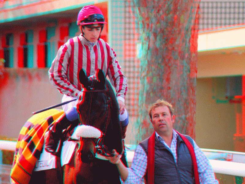 equus