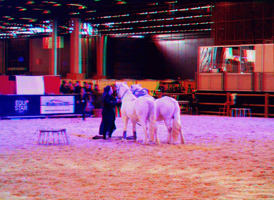equus