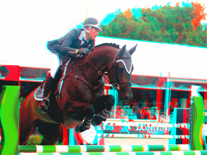 equus