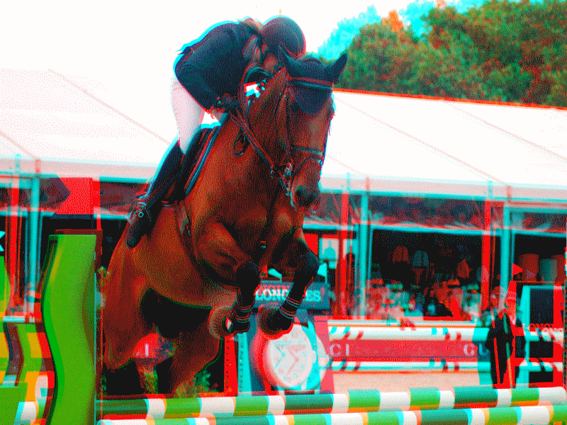 equus