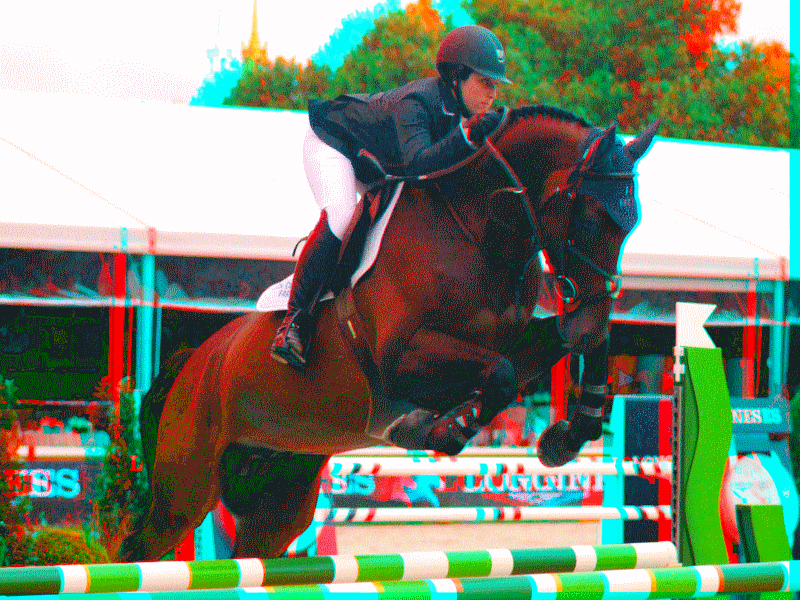 equus