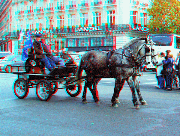 equus